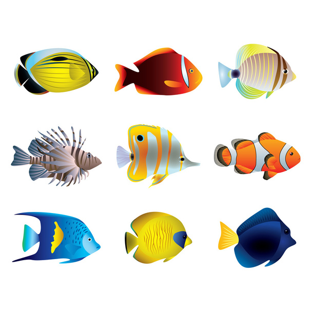 Tropical fishes vector set - Vector, Image