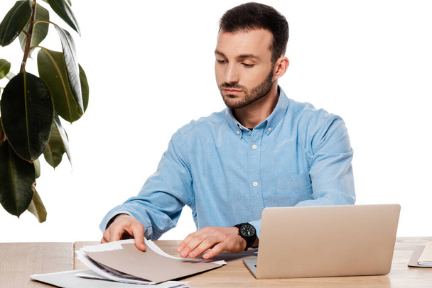 przystojny freelancer w pobliżu laptopa w pobliżu roślin odizolowanych na biały  - Zdjęcie, obraz