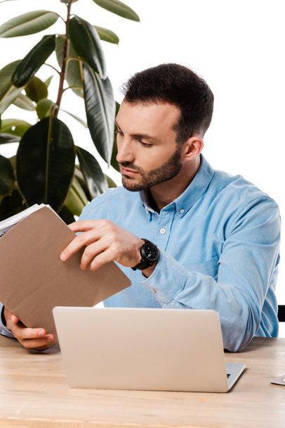 przystojny freelancer patrząc na folder w pobliżu laptopa w pobliżu roślin odizolowanych na biały  - Zdjęcie, obraz