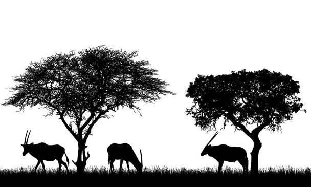 Иллюстрация африканского пейзажа на сафари с антилопами или газелями под тропическими деревьями. Животные пасутся на траве. Изолированные силуэты на белом фоне - вектор
 - Вектор,изображение