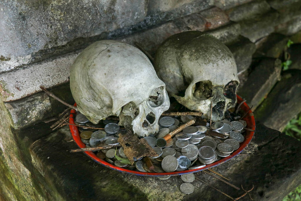Zwei menschliche Schädel am Eingang des Kuburan Terunyan Friedhofs in Bali. Weißer menschlicher Schädel auf Emaille-Tablett mit Münzen. Besucher hinterlassen den Toten Geldspenden. Als Teil eines kombinierten heidnisch-hinduistischen Glaubens. - Foto, Bild