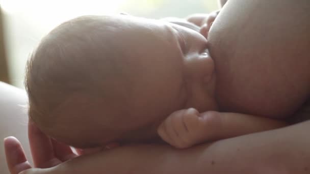 Zbliżenie dziecko jedzące pierś matki. Full HD, bez dźwięku. - Materiał filmowy, wideo