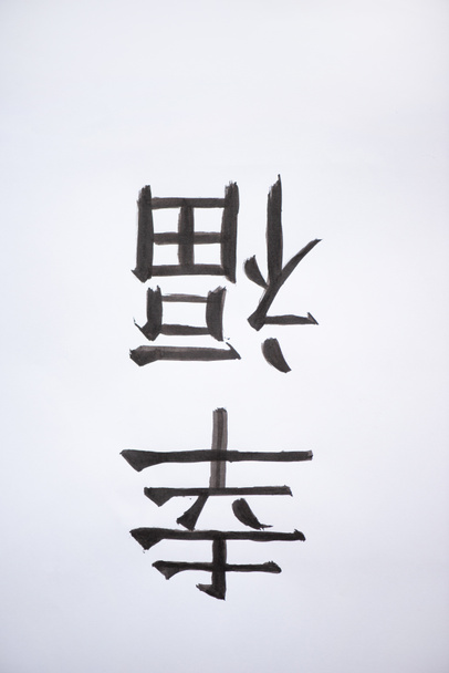 Painted japanese hieroglyphs on white background - Photo, Image