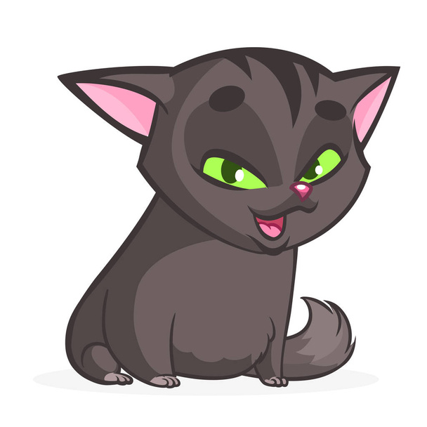 Cartoon witch black cat illustration. Vector isolated. Halloween design - Vector, Image