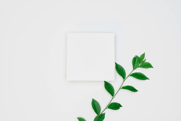 Creative layout made of papers and leaves Flat lay. Minimal natu - Foto, afbeelding