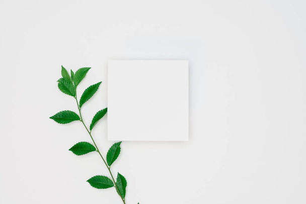 Creative layout made of papers and leaves Flat lay. Minimal natu - Foto, afbeelding