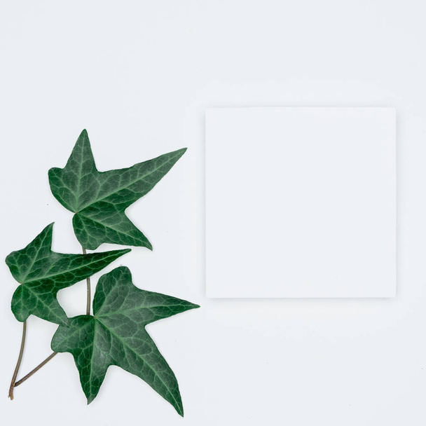 Diseño creativo hecho de papeles y hojas Asiento plano. Mínimo natu
 - Foto, Imagen