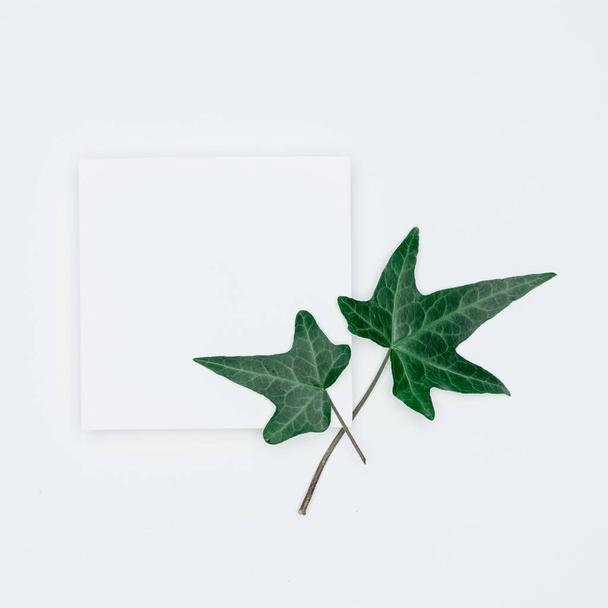 Creatieve lay-out van papier en bladeren Vlakke lay. Minimale natu - Foto, afbeelding