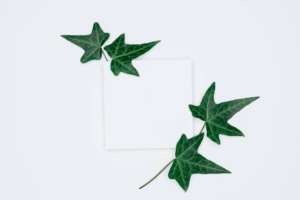 Creatieve lay-out van papier en bladeren Vlakke lay. Minimale natu - Foto, afbeelding