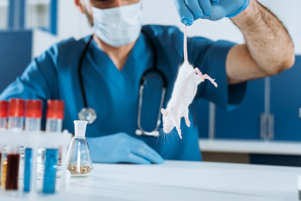 selectieve focus van dierenarts in medisch masker en latex handschoenen met witte muis bij staart in de buurt van reageerbuizen - Foto, afbeelding
