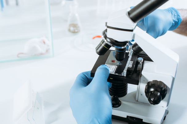 oříznutý pohled na biologa v latexových rukavicích s mikroskopem v blízkosti bílé myši ve skleněné krabici - Fotografie, Obrázek
