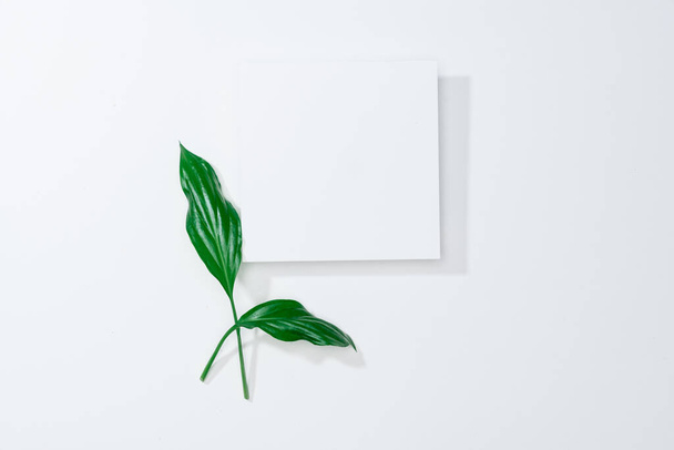 Творческая компоновка из бумаги и листьев. Мбаппе нату
 - Фото, изображение