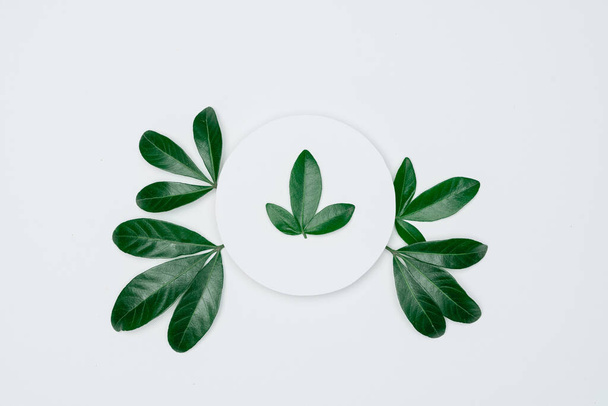 Creative layout made of papers and leaves Flat lay. Minimal natu - Photo, Image