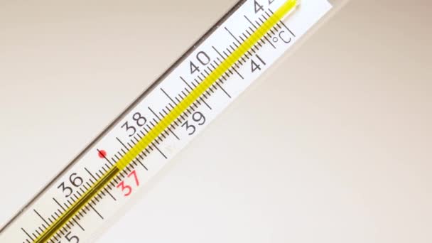 Mercury in thermometer moves on scale, showing patients high temperature - Video, Çekim