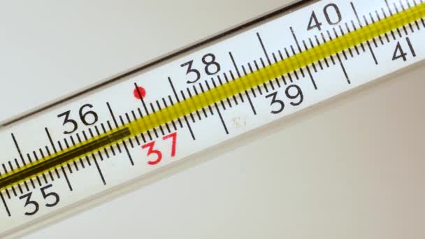 Mercury in classic thermometer moves higher on scale, showing temperature - Footage, Video