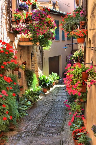 Miejski krajobraz Spello. Umbria, Włochy - Zdjęcie, obraz