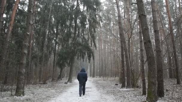 男は、カメラ、松林、スローモーションから雪の中の森のパスに沿って歩く - 映像、動画