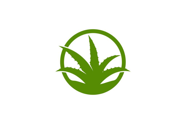 Aloe vera vector ilustración diseño icono plantilla
 - Vector, Imagen