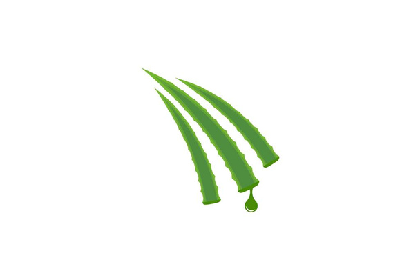 Aloe vera vektör çizim ikonu şablonu - Vektör, Görsel