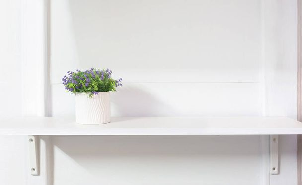 Obývací pokoj interiér s krásnou rostlinou a v různých designových hrnců na zelené polici. - Fotografie, Obrázek