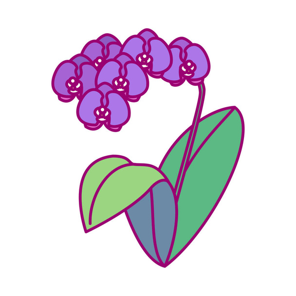 vector handdrawn cute plant clip art exotic flower - Vector, imagen