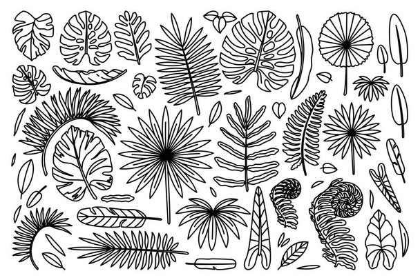 vector big exotic leaves set. coloring book page - Vektor, Bild