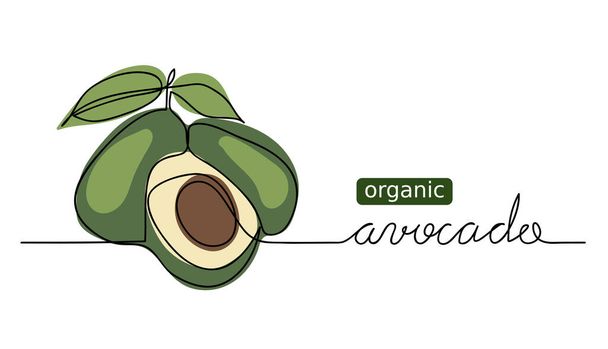 Органические векторные каракули авокадо, набросок. Один сплошной рисунок
 - Вектор,изображение