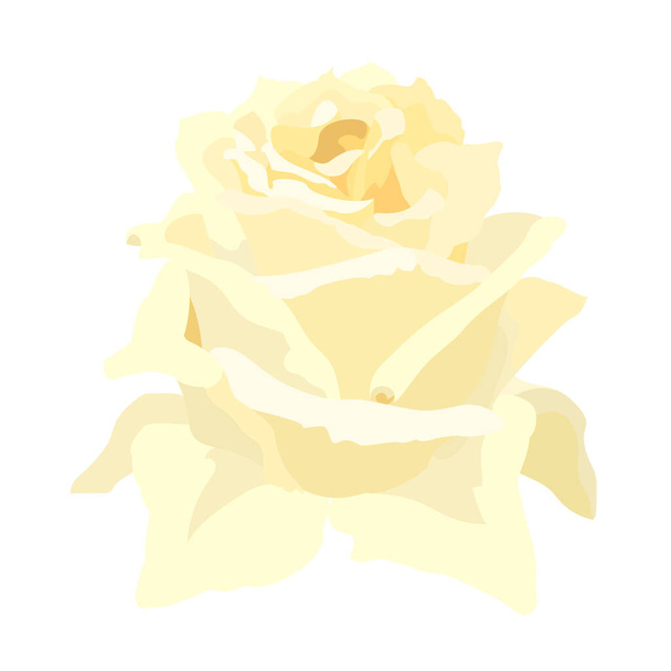 vector rose flower clip art on white isolated background - Vector, Image