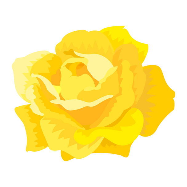 vector rose flower clip art on white isolated background - Vettoriali, immagini