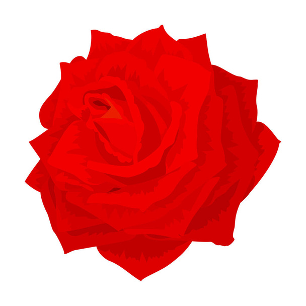 vector rose flower clip art on white isolated background - Вектор, зображення