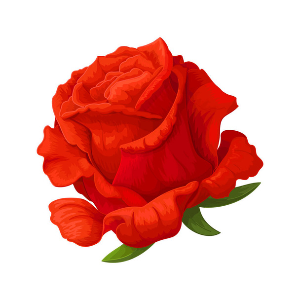 vektor rózsa virág klip művészet fehér elszigetelt háttér - Vektor, kép