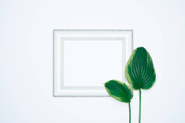 Un marco de fotos blanco (en blanco) vacío con hojas aisladas sobre fondo blanco
. - Foto, imagen
