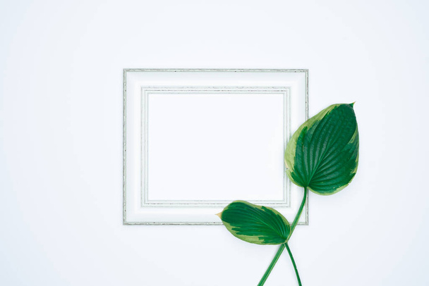 Een leeg (blanco) wit fotolijstje met bladeren geïsoleerd op witte achtergrond. - Foto, afbeelding