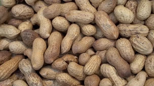 Peanuts-Ernte für Nahrungsmitteltexturen von oben - Filmmaterial, Video