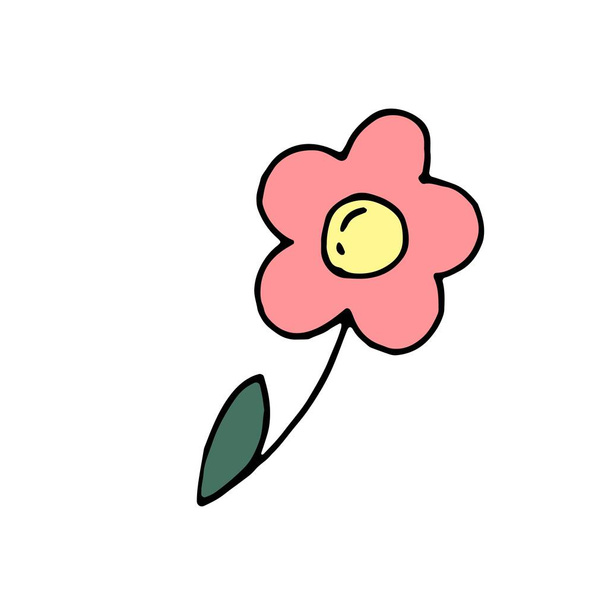 illustrazione disegnata a mano a colori vettoriale, elemento senza sfondo, fiore rosa
 - Vettoriali, immagini