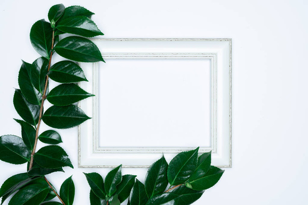 Hojas verdes con marco de fotos blanco sobre fondo blanco. Plano, vista superior, espacio
. - Foto, Imagen