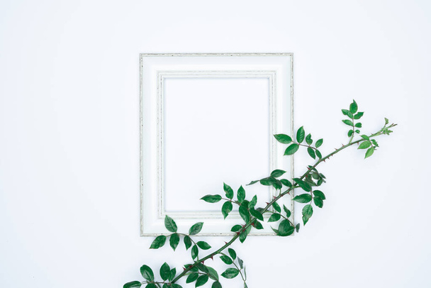 Green leaves with white photo frame on white background. Flat lay, top view, space. - Fotografie, Obrázek