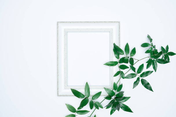 Green leaves with white photo frame on white background. Flat lay, top view, space. - Photo, image