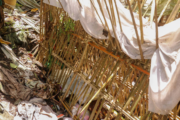 Terunyan村の墓地に竹の棒の墓。インドネシアのバリにある伝統的なクブラン。遺体は地上に埋葬されている。皮膚や筋肉で覆われた歯を持つ人間の頭蓋骨. - 写真・画像