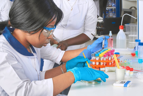 Quality control of various substances in test lab. African medical student puts on nitril gloves. Team of young scientists, young women working in research laboratory, medical test lab. - Photo, Image