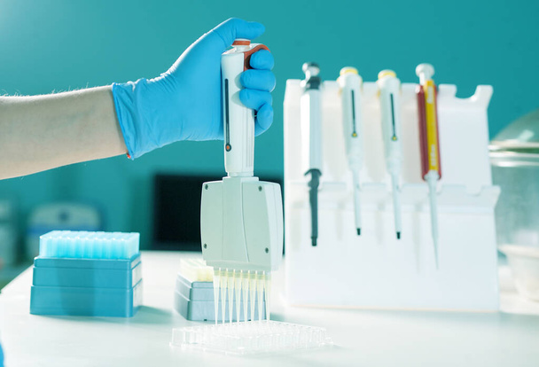 Hand in glove with automatic multichannel pipette for pcr analysis of nucleic acids for novel coronavirus. Molecular biology tools for tests for viral and bacterial pathologies. Medical test lab. - Photo, image
