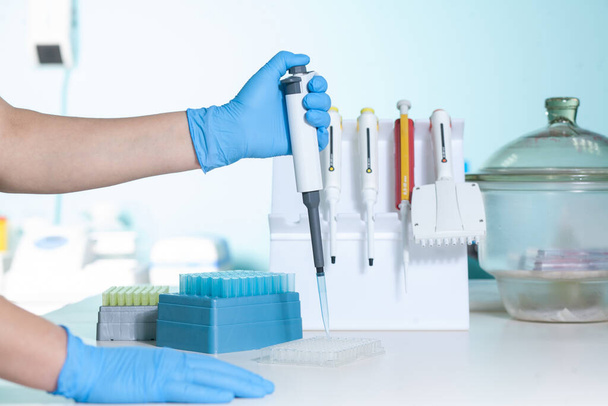 PCR analizi için otomatik pipetle eldiven verin. Yeni Coronavirus için nükleik asitlerin analizi Covid-19 'a neden olur. Virüs ve bakteriyel patoloji testleri için moleküler biyoloji araçları. Tıbbi test laboratuvarı. - Fotoğraf, Görsel