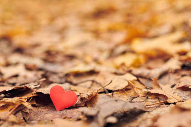 Heart on autumn leaves. Infatuation, one-sided romantic love concept. Symbol of unrequited love victims of Valentine day. Beautiful autumn background, copy space. - Photo, Image
