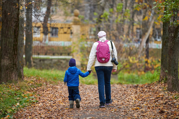 Matka nebo chůva a malý chlapec kráčející spolu v podzimním městském parku, pohled zezadu. Dívka drží chlapce za ruku. Koncept svobodného rodiče, rozvodu nebo vdovy. - Fotografie, Obrázek