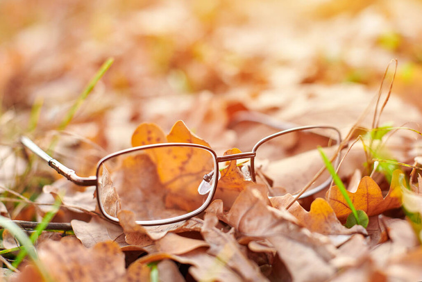 Occhiali su fogliame di autunno. Autunno concetto di perdita della vista. Carenza di vitamina con l'età
. - Foto, immagini