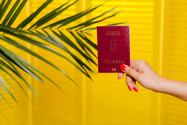 Woman hand holding Hungarian passport, on yellow background with palm tree - Zdjęcie, obraz
