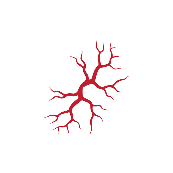 вены человека, дизайн красных кровеносных сосудов и артерии Векторная иллюстрация изолированы
 - Вектор,изображение