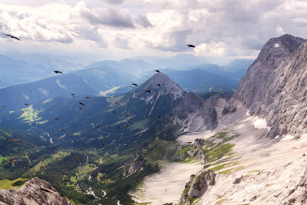 Flock of alpine chough birds flying over Dachstein glacier near Hunerkogel mountain car station, Austrian Alps - Photo, Image