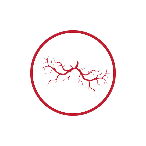 menselijke aderen, rode bloedvaten ontwerp en slagaders Vectorillustratie geïsoleerd - Vector, afbeelding