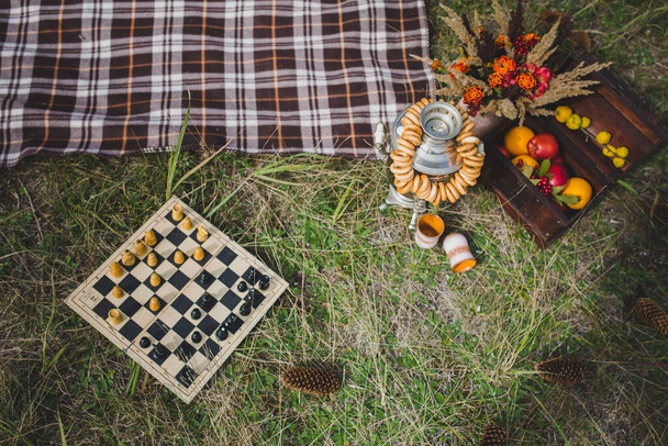 Äpfel in einer Schachtel auf dem Gras und trockener Herbststrauß. Schach - Foto, Bild